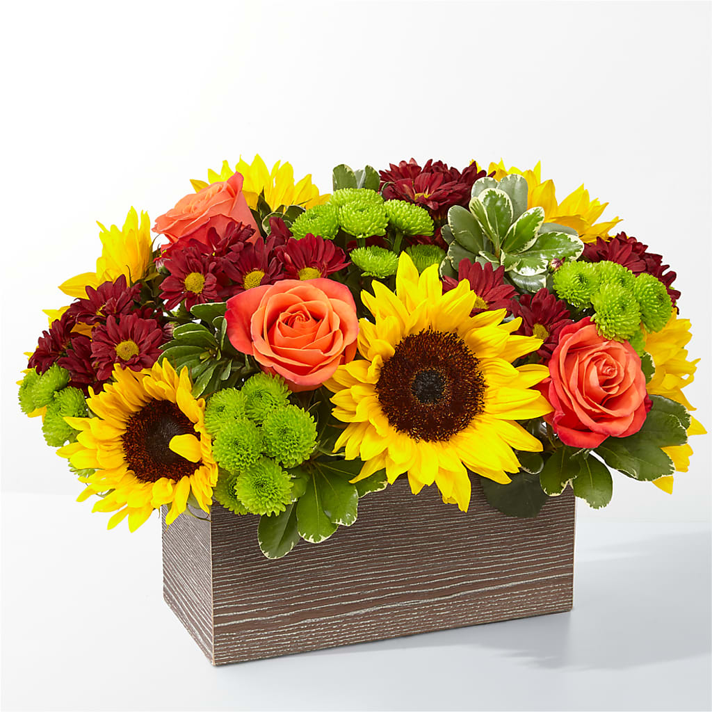 Happy Harvest Garden – House Of Flowers, Breckenridge TX