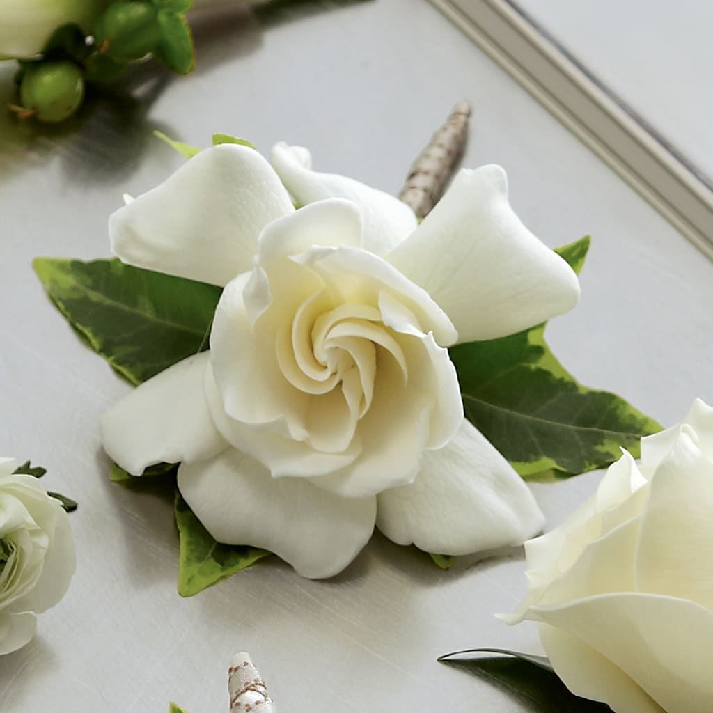 Gardenia Boutonniere – House Of Flowers, Breckenridge TX
