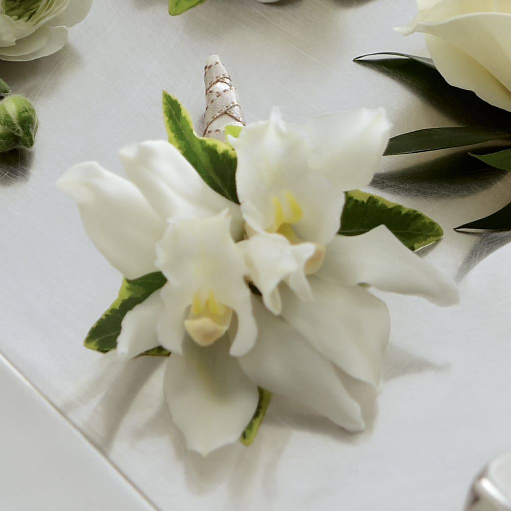 White Mini Cymbidium Boutonniere – House Of Flowers, Breckenridge TX
