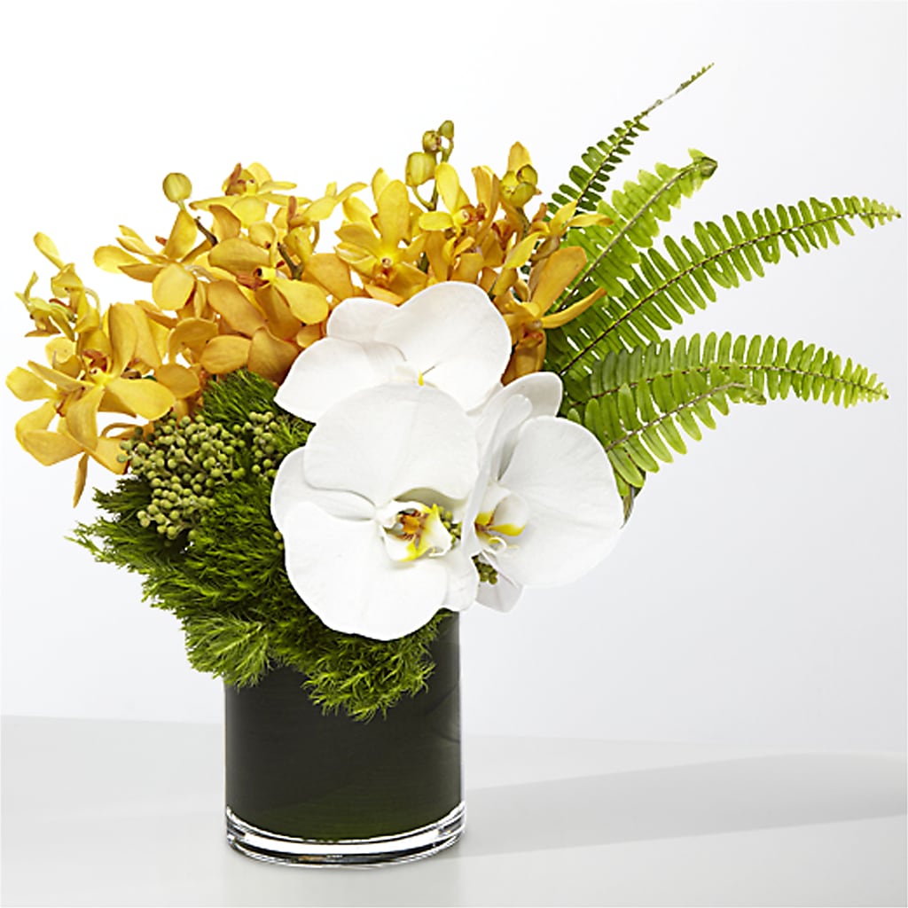 The Tropics –  House Of Flowers, Breckenridge TX