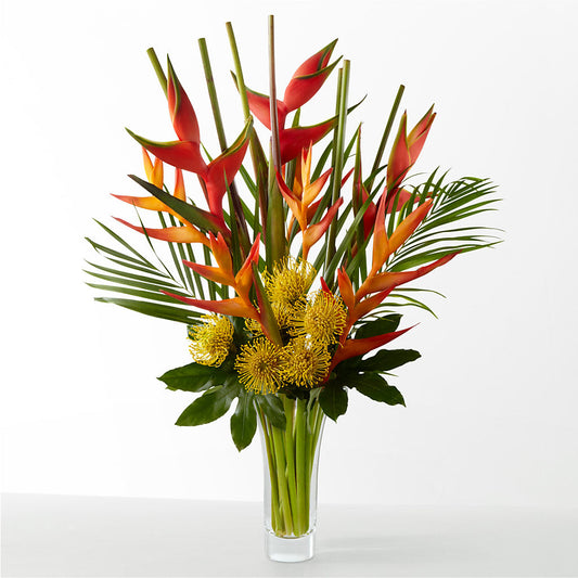 The Drama –  House Of Flowers, Breckenridge TX
